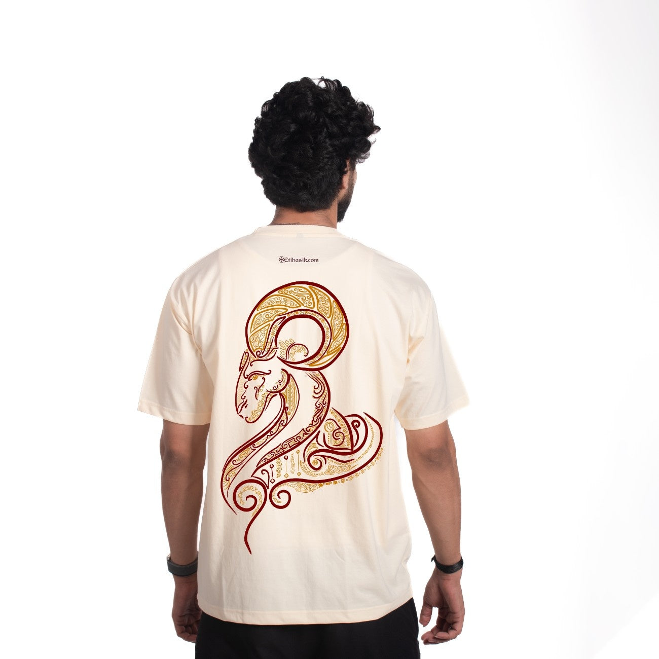 ARIES ZODIAC (मेष)