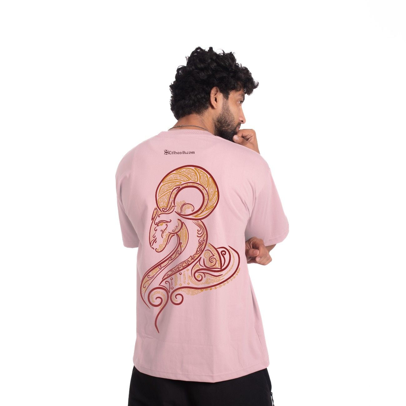 ARIES ZODIAC (मेष)