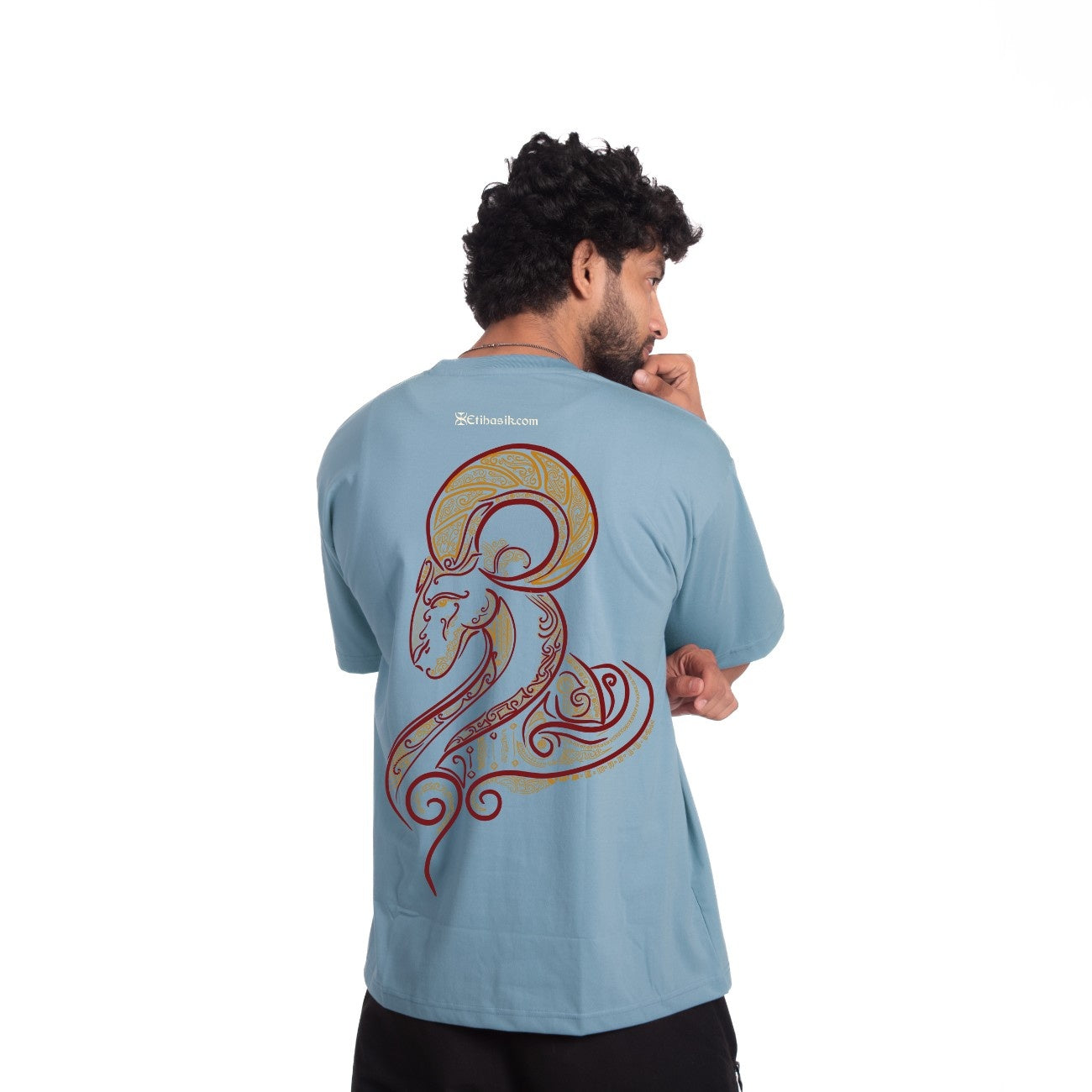 ARIES ZODIAC (मेष)