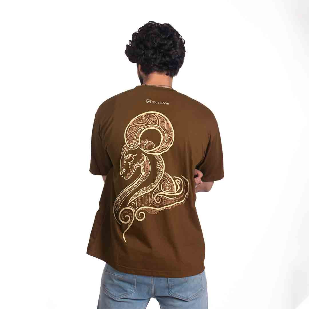 ARIES ZODIAC (मेष)